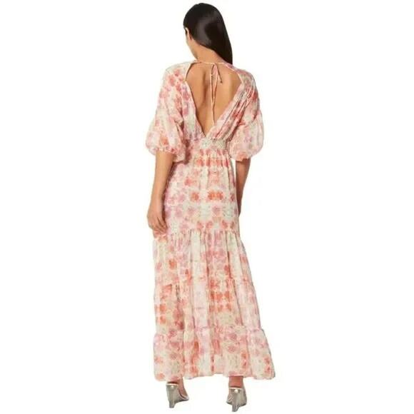 NWOT Misa Los Angeles Pippa Summer Maxi Dress Size XS Cora Flora #1B455 - Picture 3 of 12